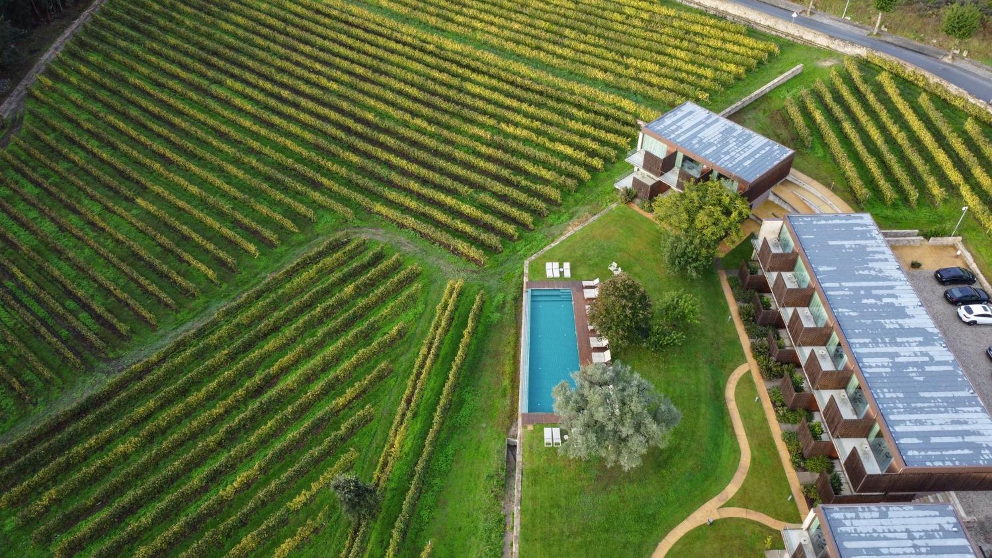 Torre De Gomariz Wine & Spa Hotel Cervães Exteriér fotografie